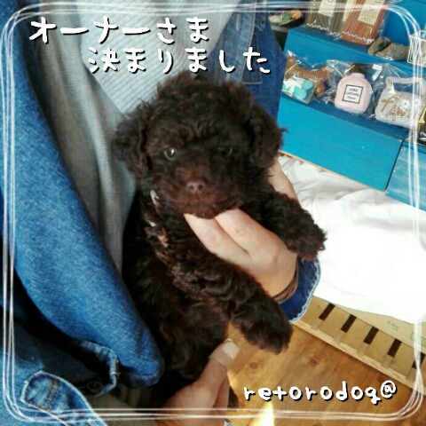 隠し子2。決まりました 隠し子2。決まりました