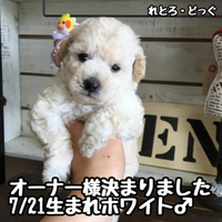 鹿児島市Mさまへ（笑）