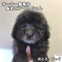 本日ワクチンへ！
