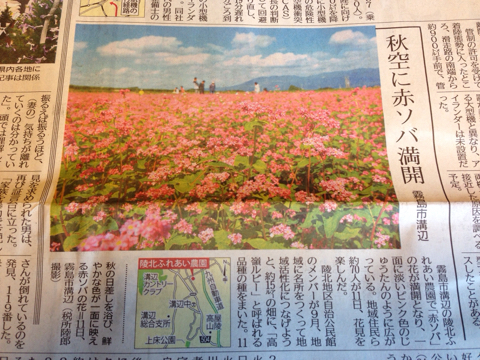 今朝の新聞掲載 今朝の新聞掲載