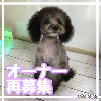 【決まりました】オーナー再募集！