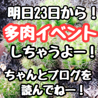 明日から多肉イベントします！！！
