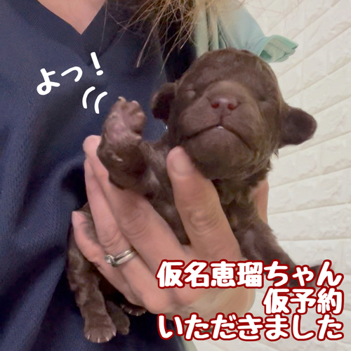 仮名が決まったで。 仮名が決まったで。