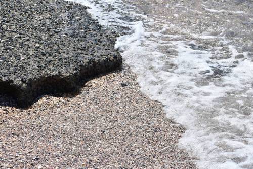 貝殻の浜 貝殻の浜