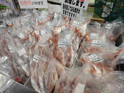 貝殻の浜 貝殻の浜