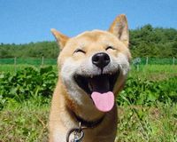 新月に思ったこと♪
