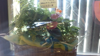 ★OPENしました★