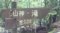 ♪癒されに!悠久の森へ♪