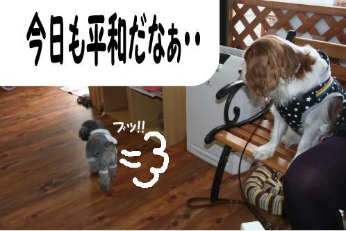 ウエアは誰のもの???