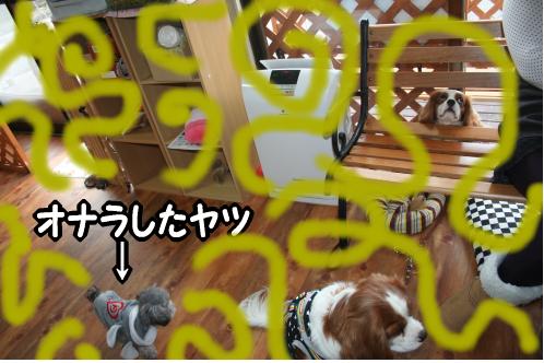 ウエアは誰のもの???