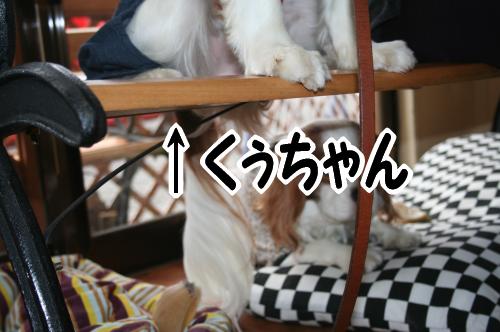 ウエアは誰のもの???