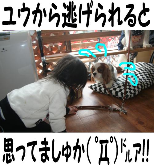 ウエアは誰のもの???