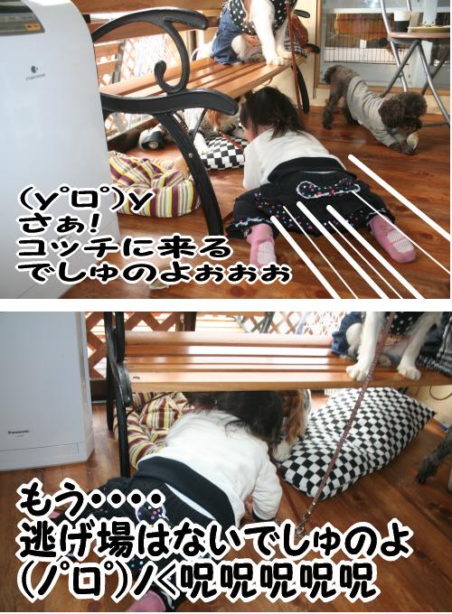 ウエアは誰のもの???