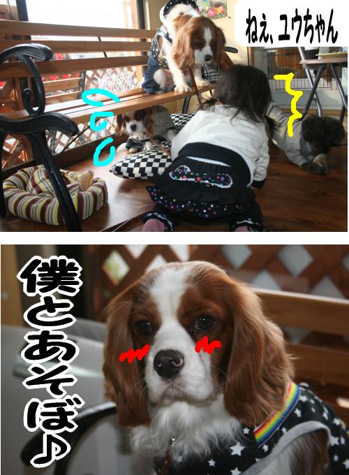 ウエアは誰のもの???