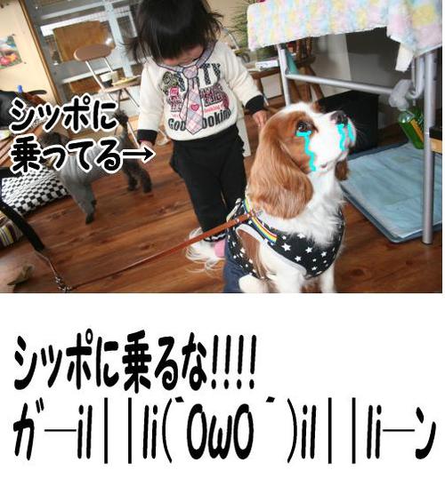 ウエアは誰のもの???