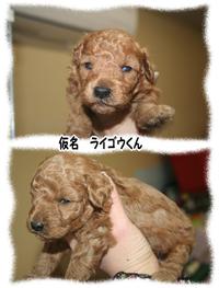さっちゃんVSユウさん