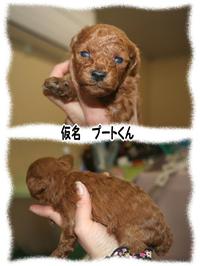 さっちゃんVSユウさん