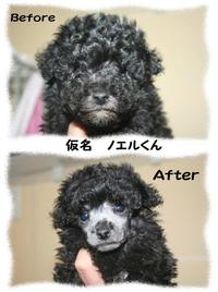 さっちゃんVSユウさん