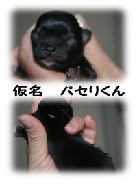 さっちゃんVSユウさん