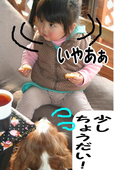 2/6の営業部長ご出勤