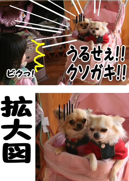 さっちゃんVSユウさん