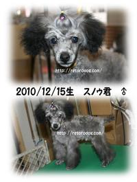 犬吉猫吉ｉｎ生駒高原2011年5月☆