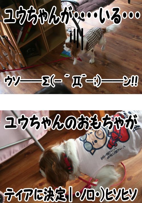 お散歩??