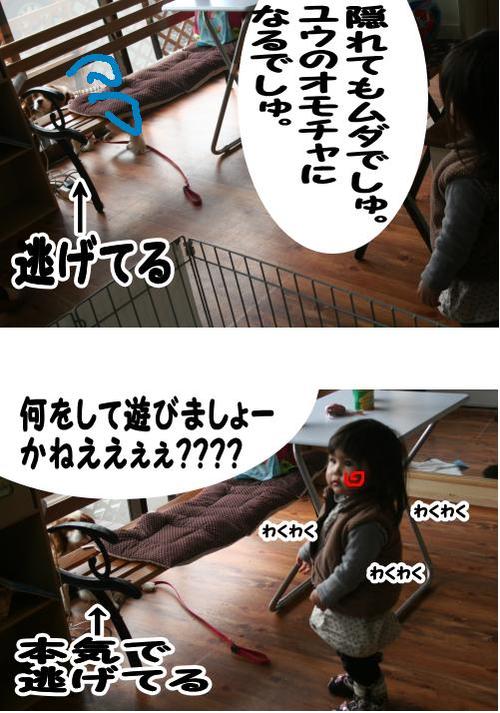 お散歩??