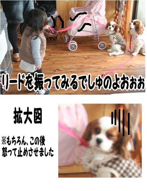 お散歩??