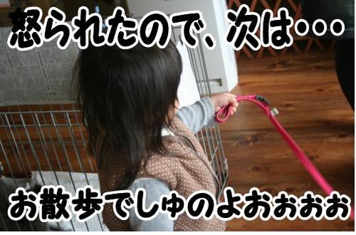 お散歩??