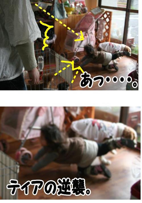 お散歩??