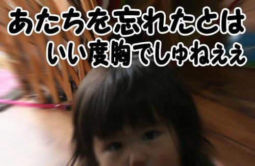 お散歩??