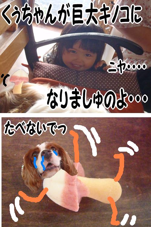 呪いの儀式Σ(゚Д゚ノ)ノ