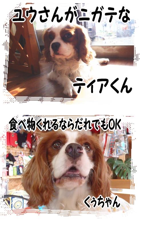 呪いの儀式Σ(゚Д゚ノ)ノ