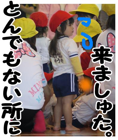 本日もおやすみです