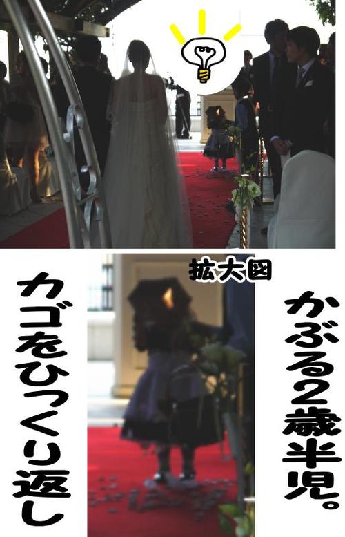 本日もおやすみです