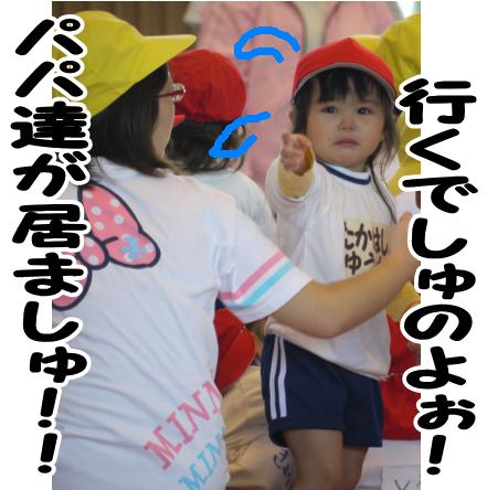 本日もおやすみです