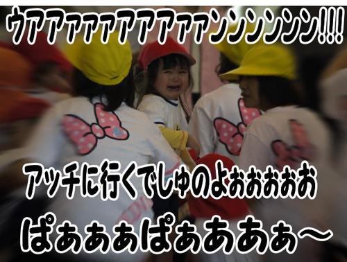 本日もおやすみです
