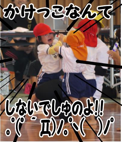本日もおやすみです