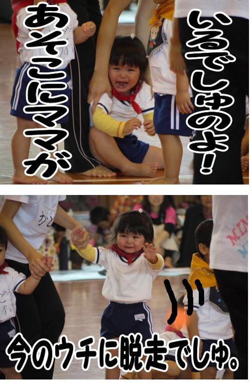 本日もおやすみです