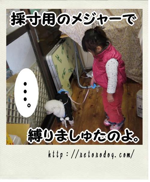 連休中間地点。
