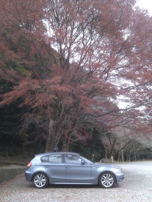 無事、到着(霧島神宮)