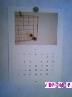 *2009*カレンダー*
