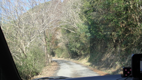 四季の杜　紫尾庵　お宿編
