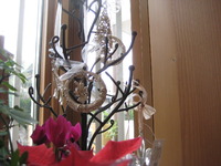 IRON TREE