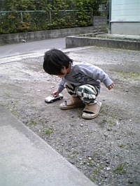 うちの子♪