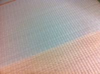 毎日引越し中