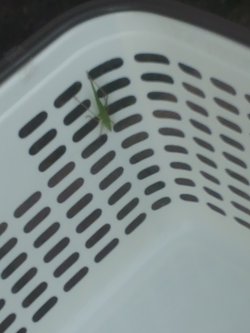 苦手なお客様(--;) 苦手なお客様(--;)