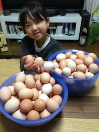 たまごまごまご~~ たまごまごまご~~