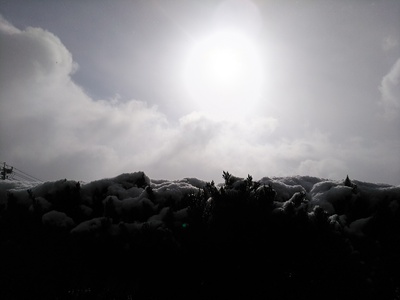 雪♪